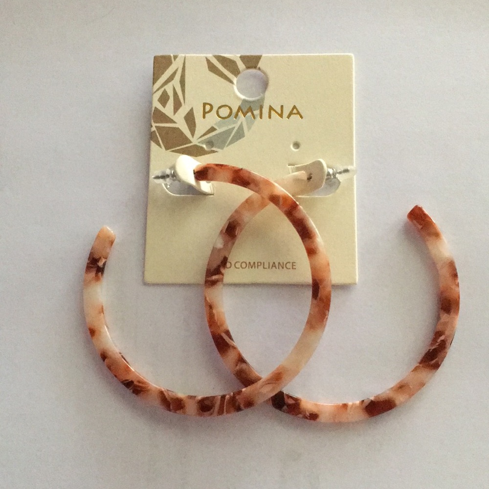 Lucite Circle Earrings